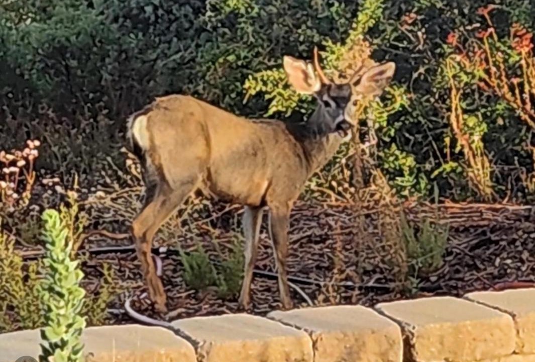 Photo of Outdoor in Alpine