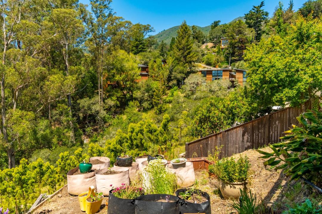 Photo of Others in Mill Valley