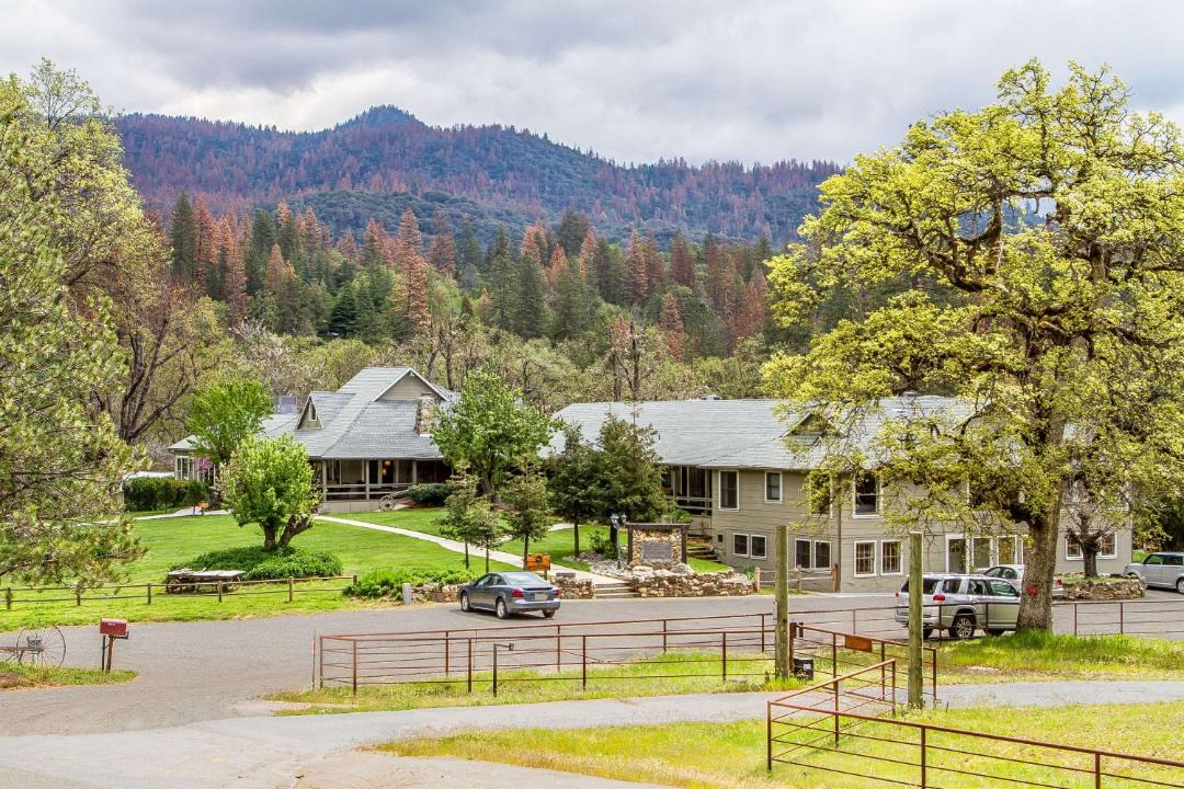 Photo of Others in Yosemite Forks