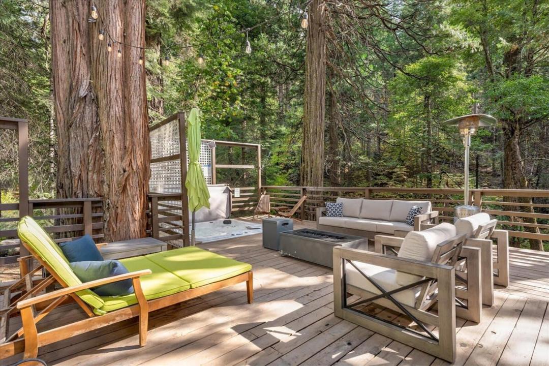 Photo of Others in Sugar Pine