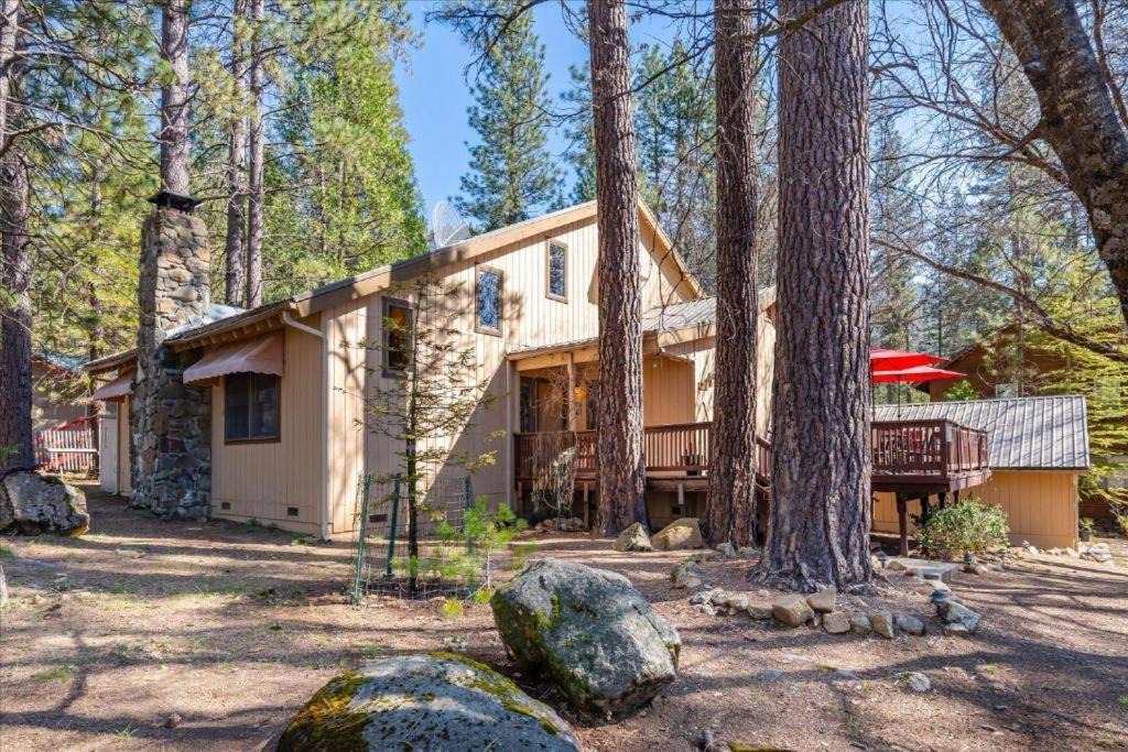Photo of Others in North Wawona
