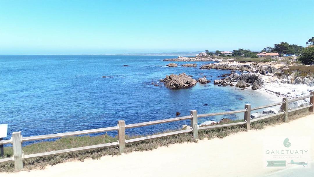 Photo of Others in Pacific Grove