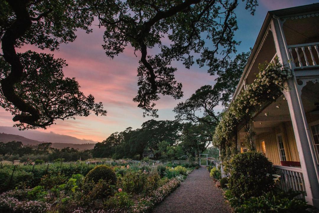 Photo of Others in Glen Ellen