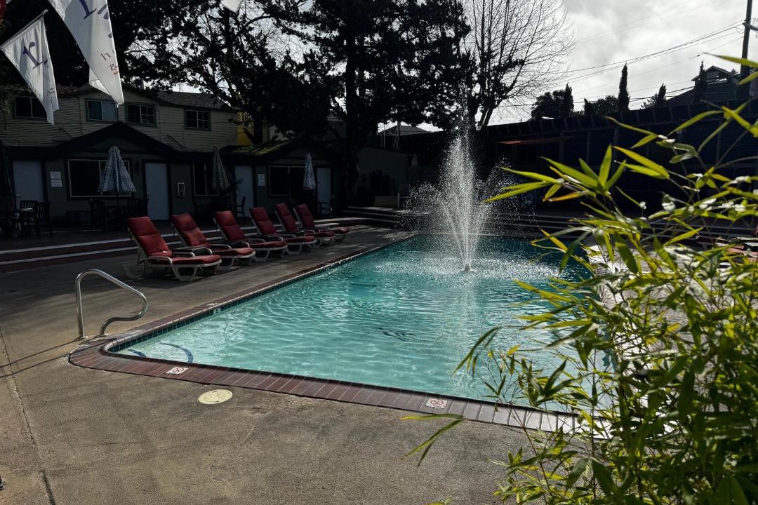 Photo of Others in Guerneville