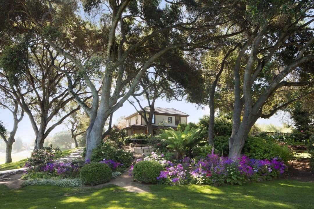 Photo of Others in Carmel
