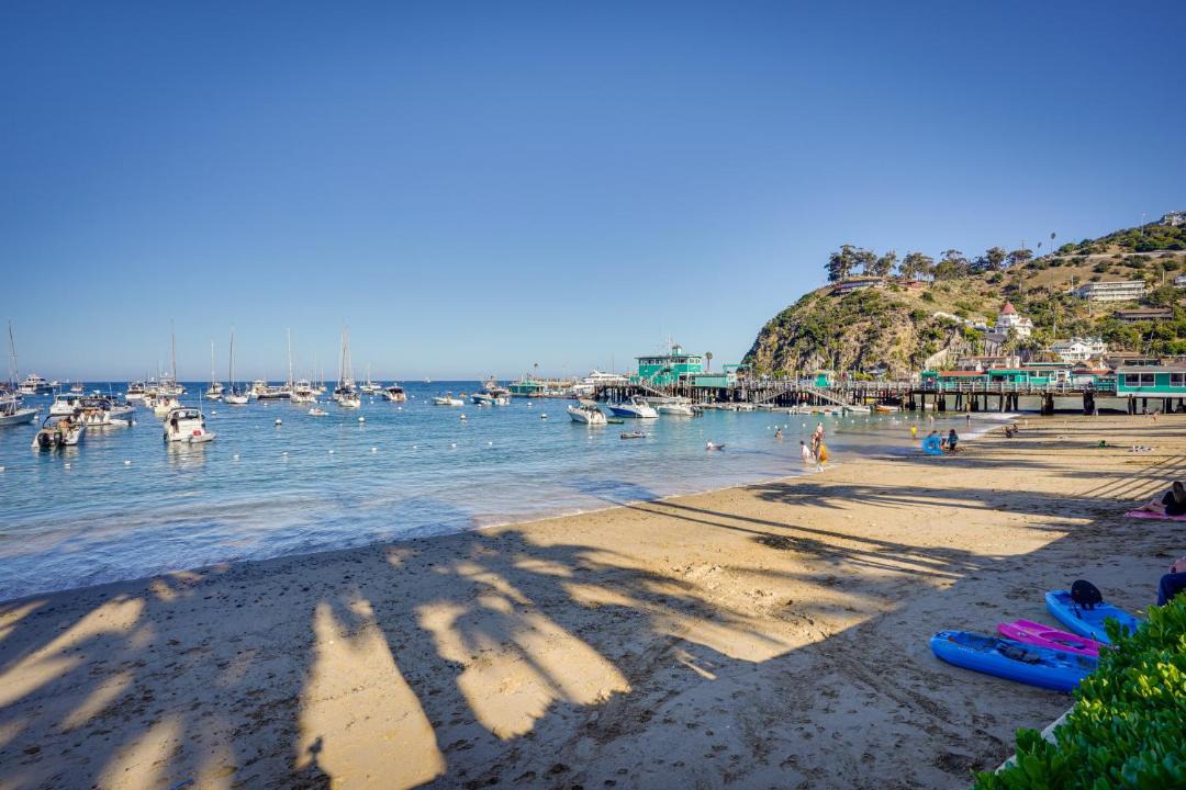 Photo of Others in Avalon