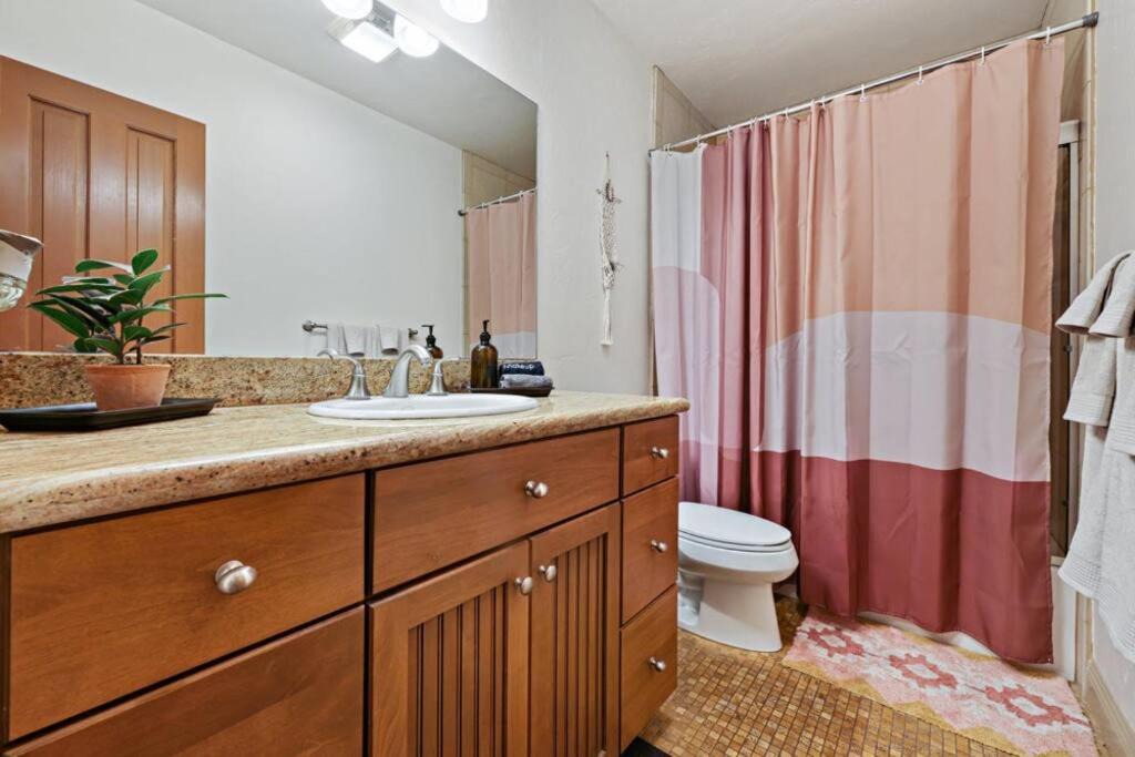 Photo of Kitchen in Ocean Beach