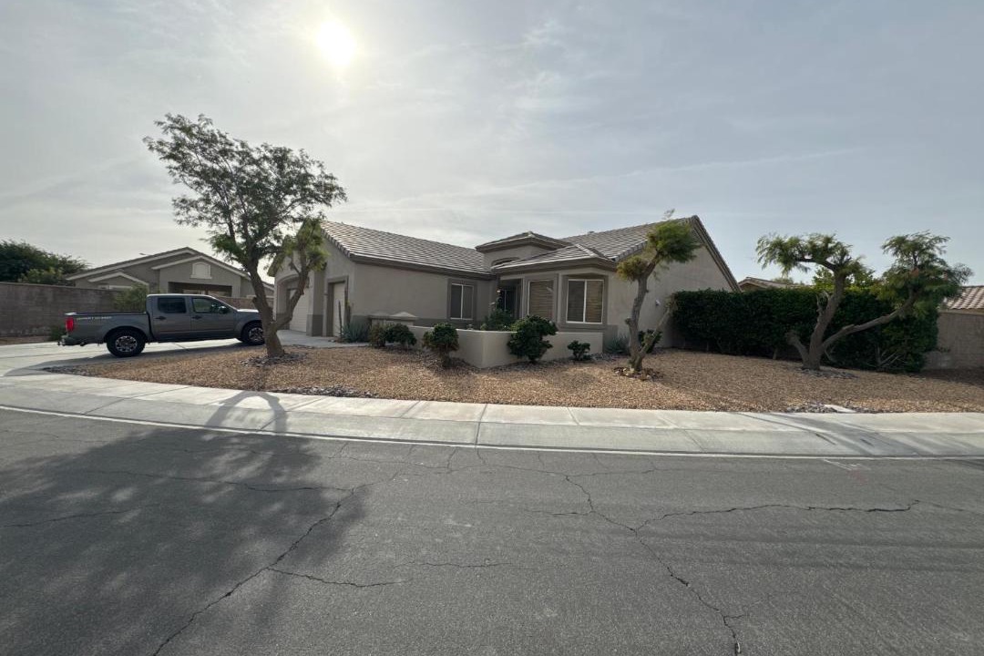 Photo of Others in Desert Palms