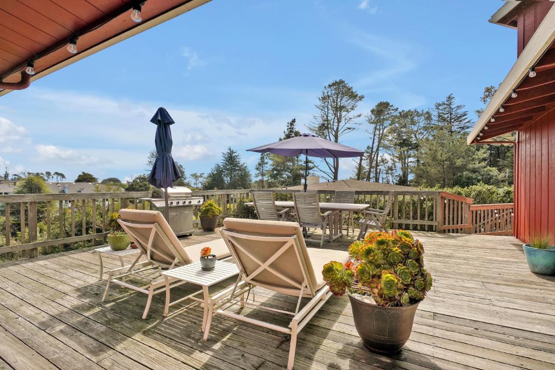 Photo of Others in Bodega Bay