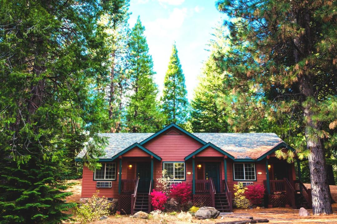 Photo of Others in Mount Shasta