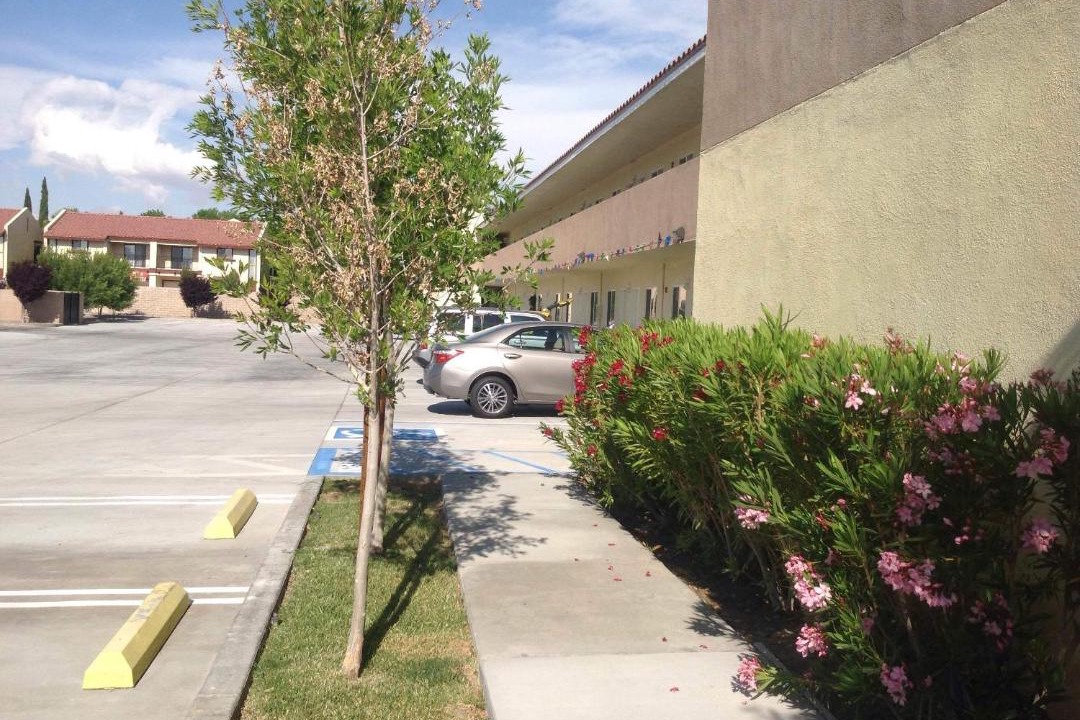 Photo of Others in Ridgecrest