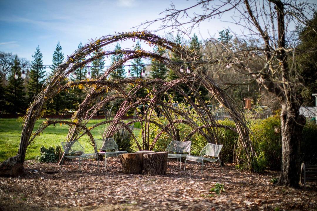 Photo of Others in Healdsburg