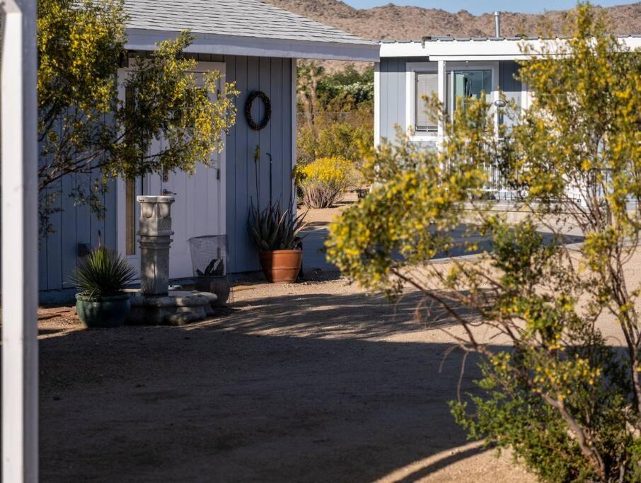 Photo of Others in Joshua Tree