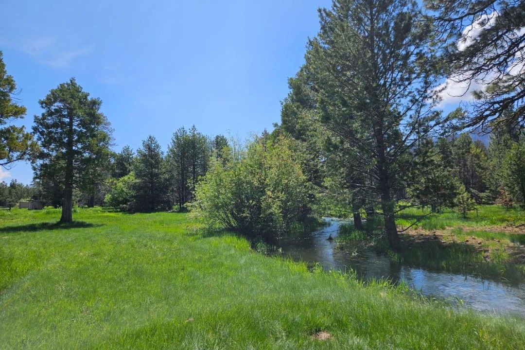 Photo of Others in Mill Creek