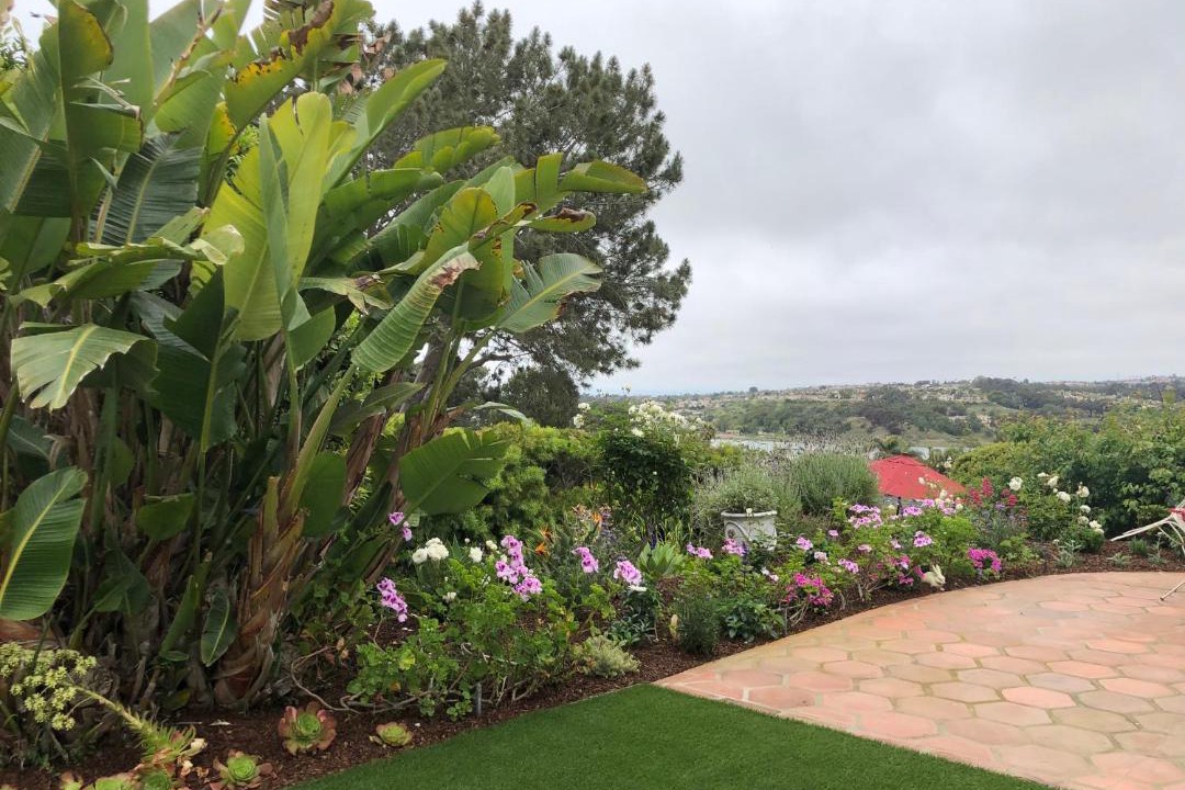 Photo of Others in Leucadia