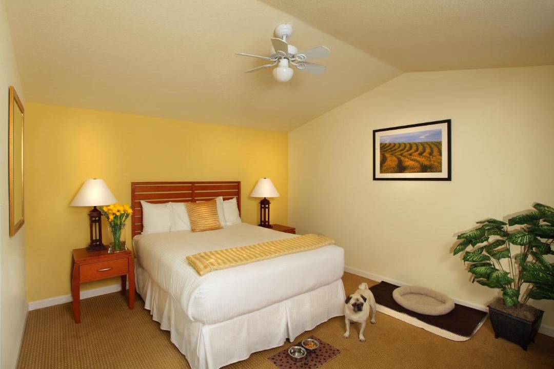 Photo of Bedroom in Guerneville