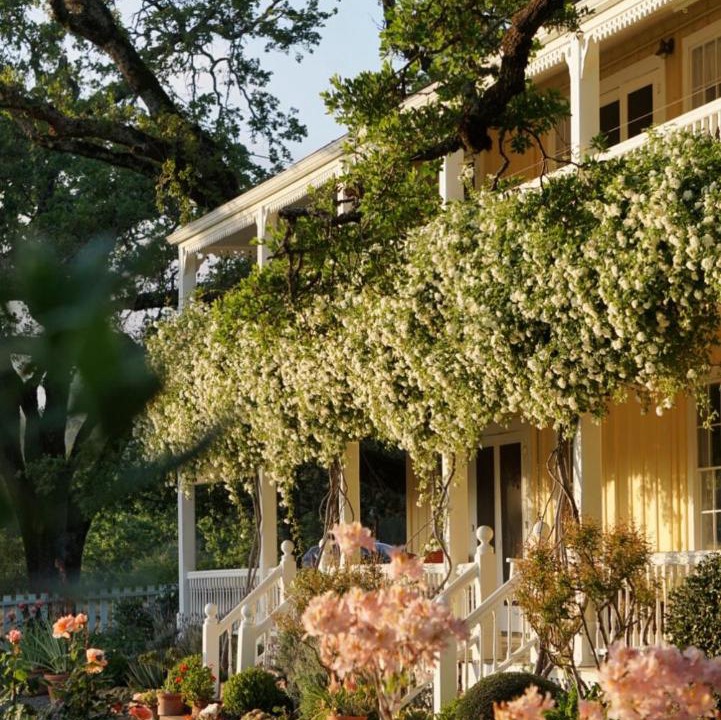 Photo of Others in Glen Ellen