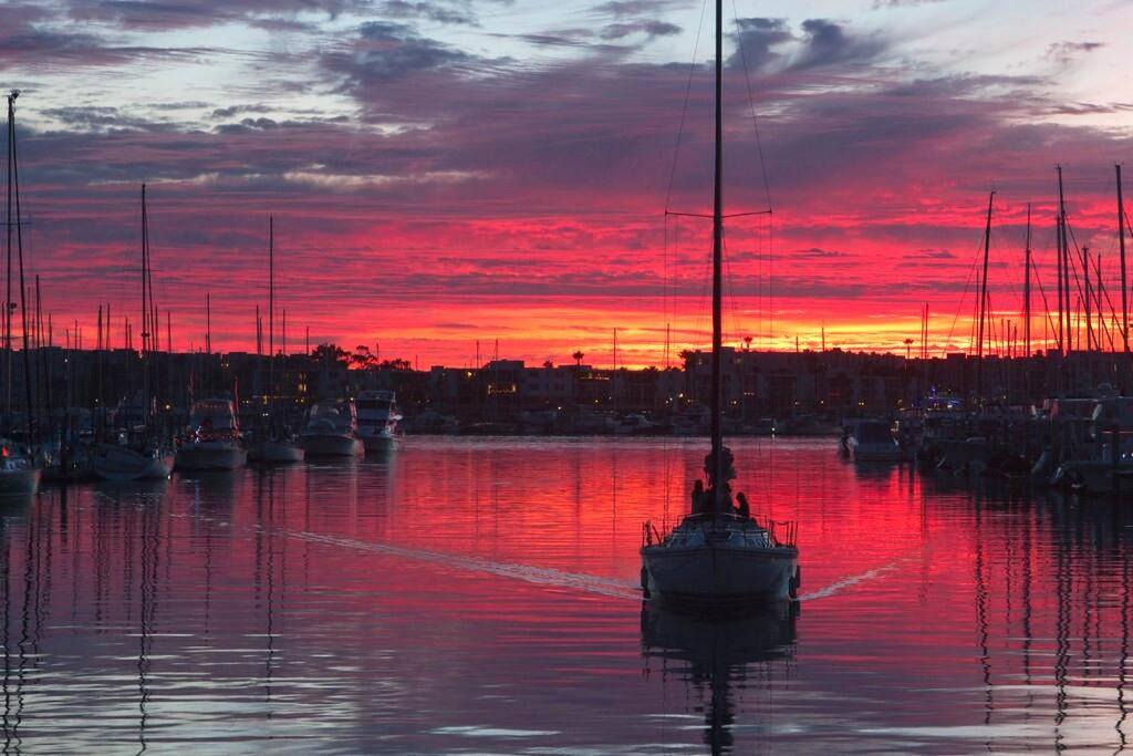Photo of Others in Marina del Rey