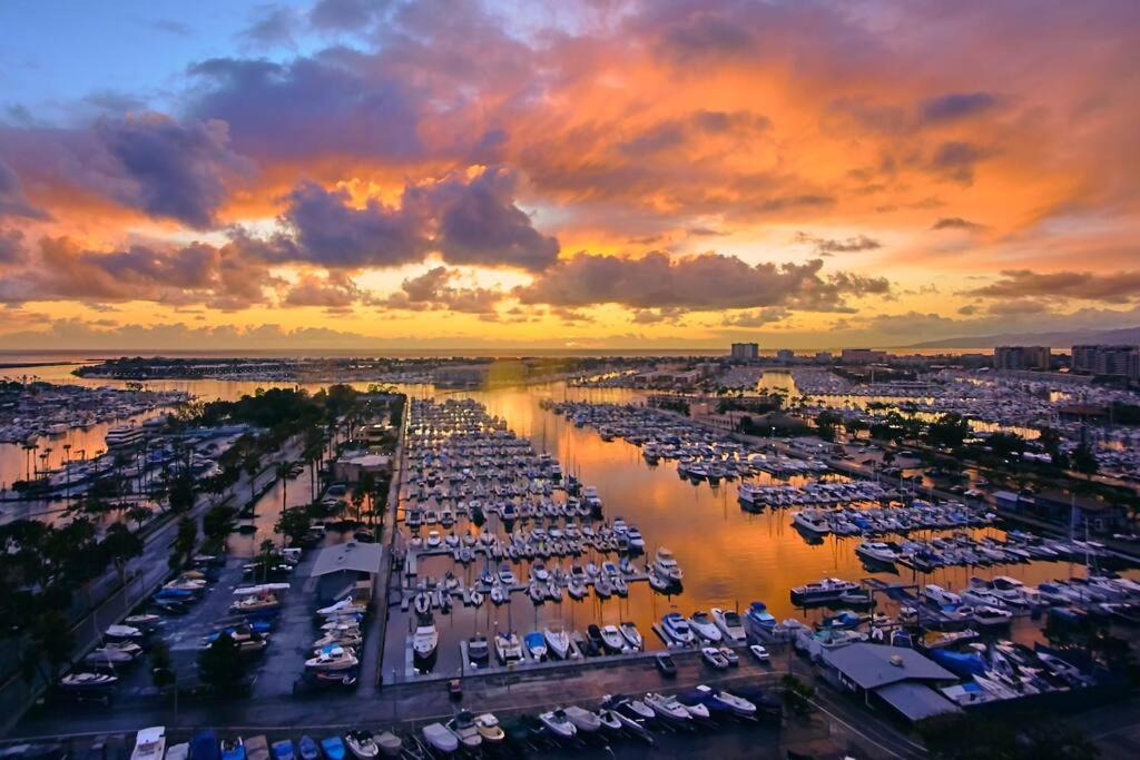 Photo of Others in Marina del Rey