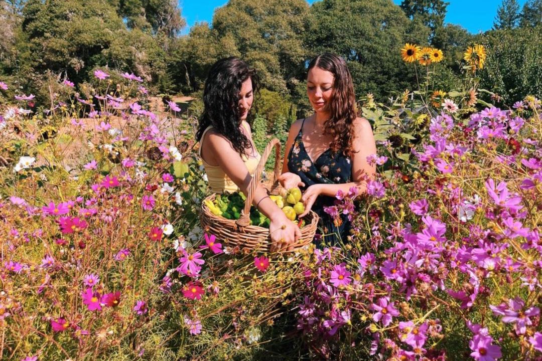 Photo of Others in Anderson Valley