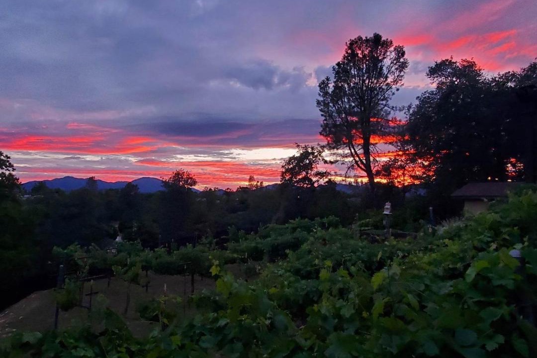 Photo of Outdoor in Redding