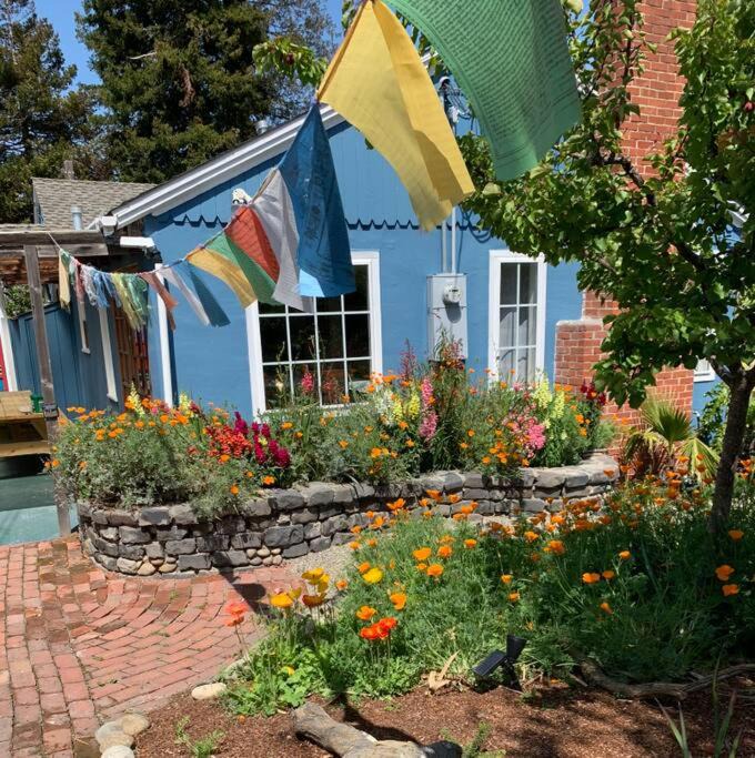 Photo of Buildings in Eastside Santa Cruz