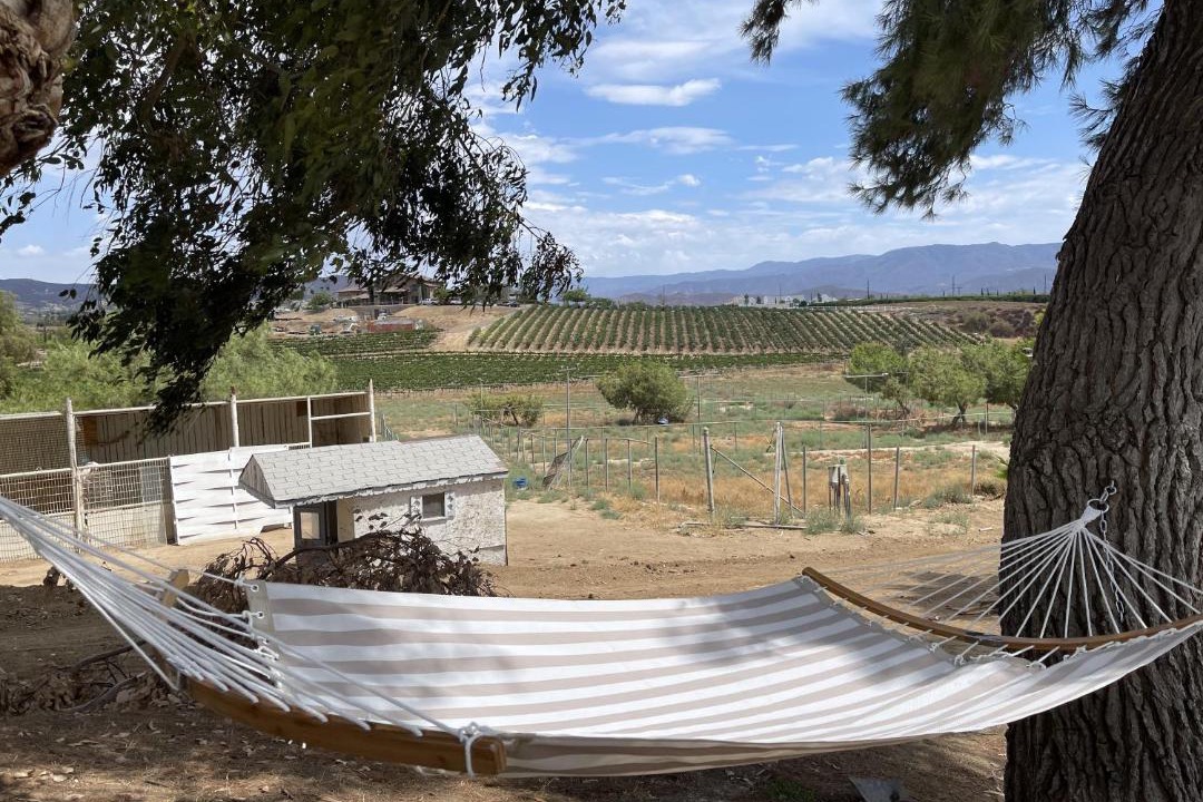Photo of Patio Balcony in Temecula
