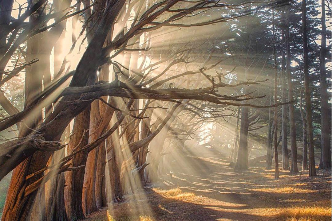 Photo of Others in Montara