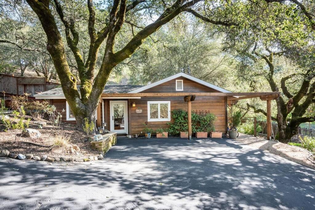 Photo of Buildings in Healdsburg