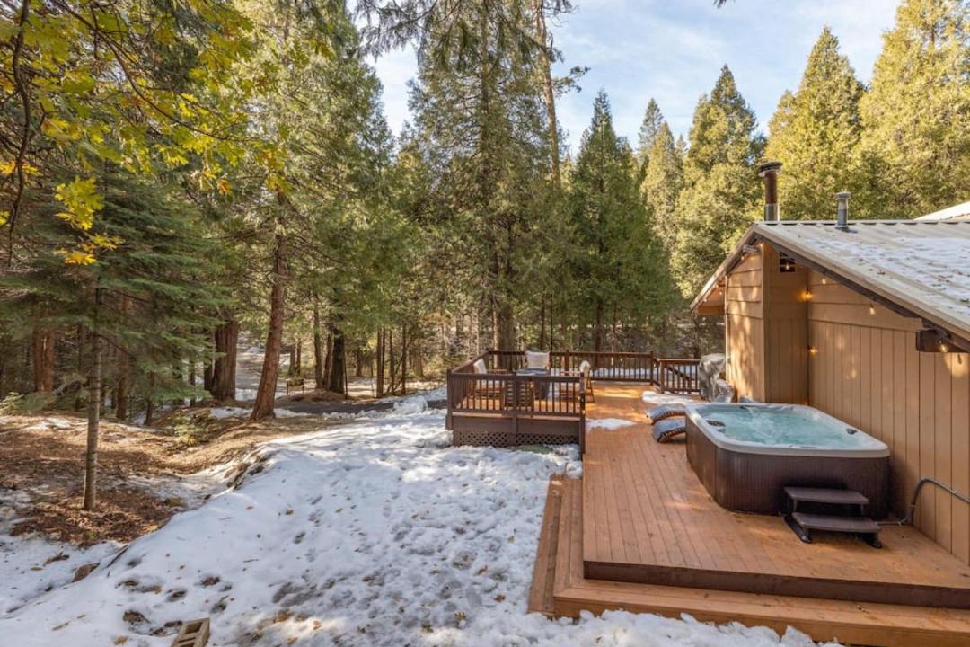 Photo of Others in Sugar Pine