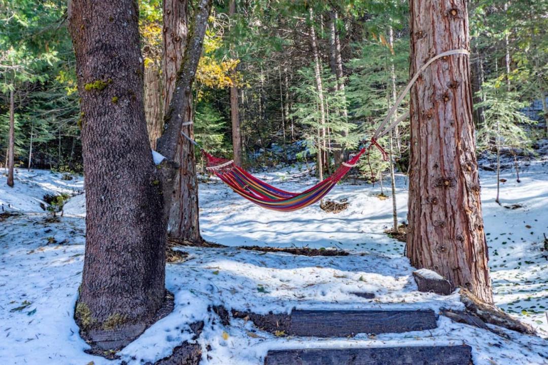 Photo of Others in Sugar Pine