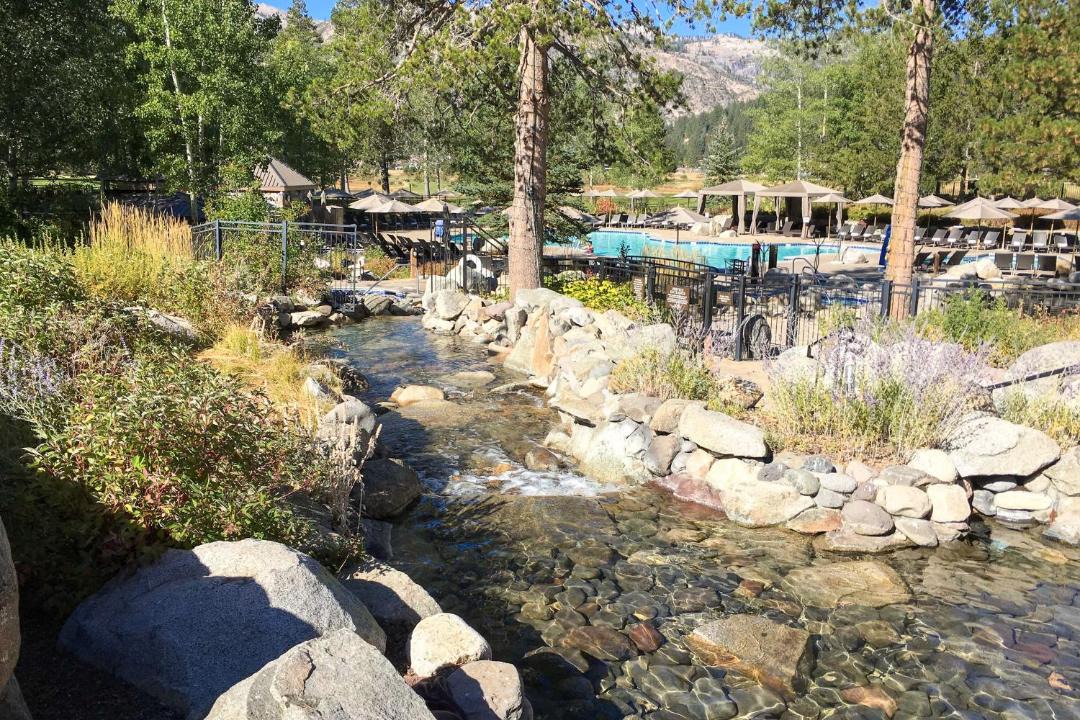 Photo of Others in Olympic Valley