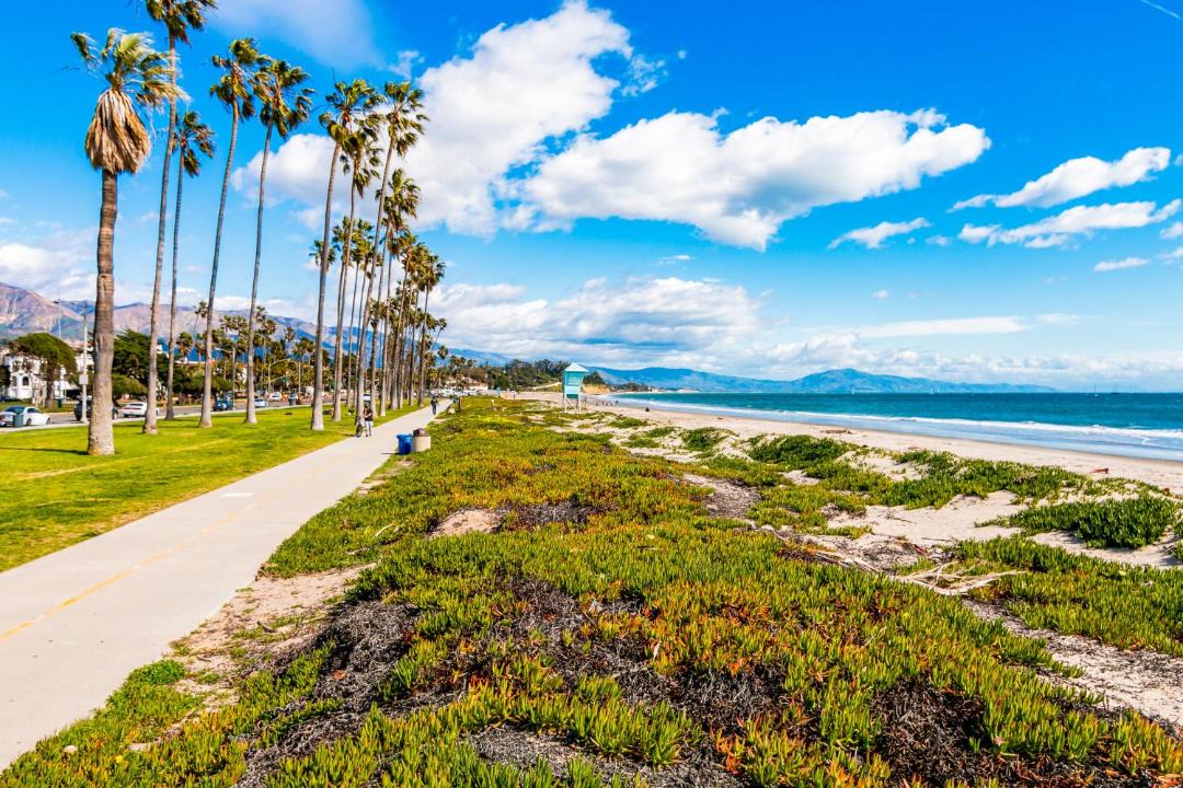 Photo of Others in East Beach