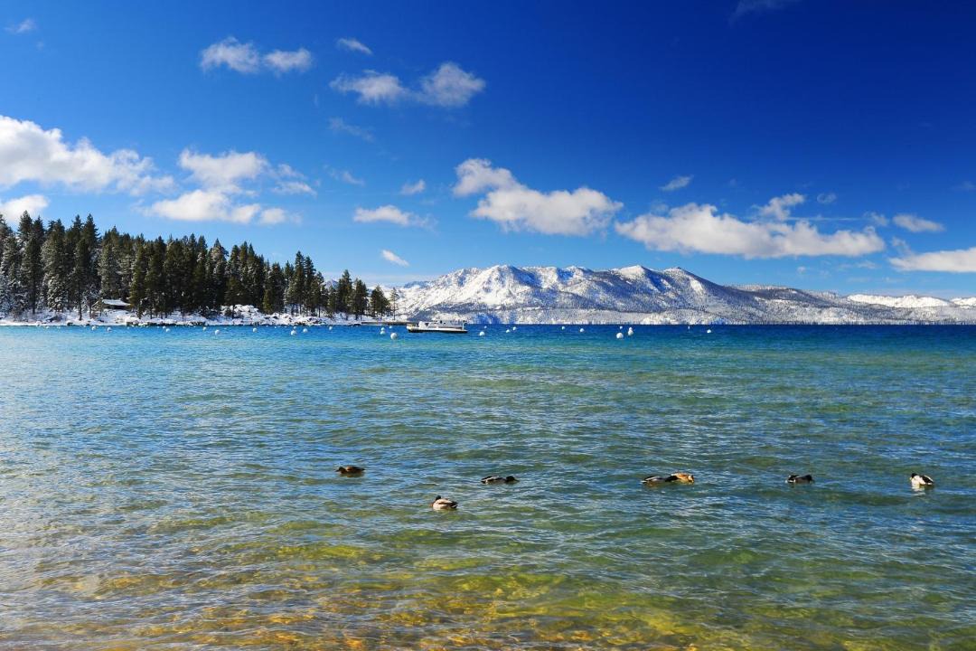 Photo of Others in South Lake Tahoe