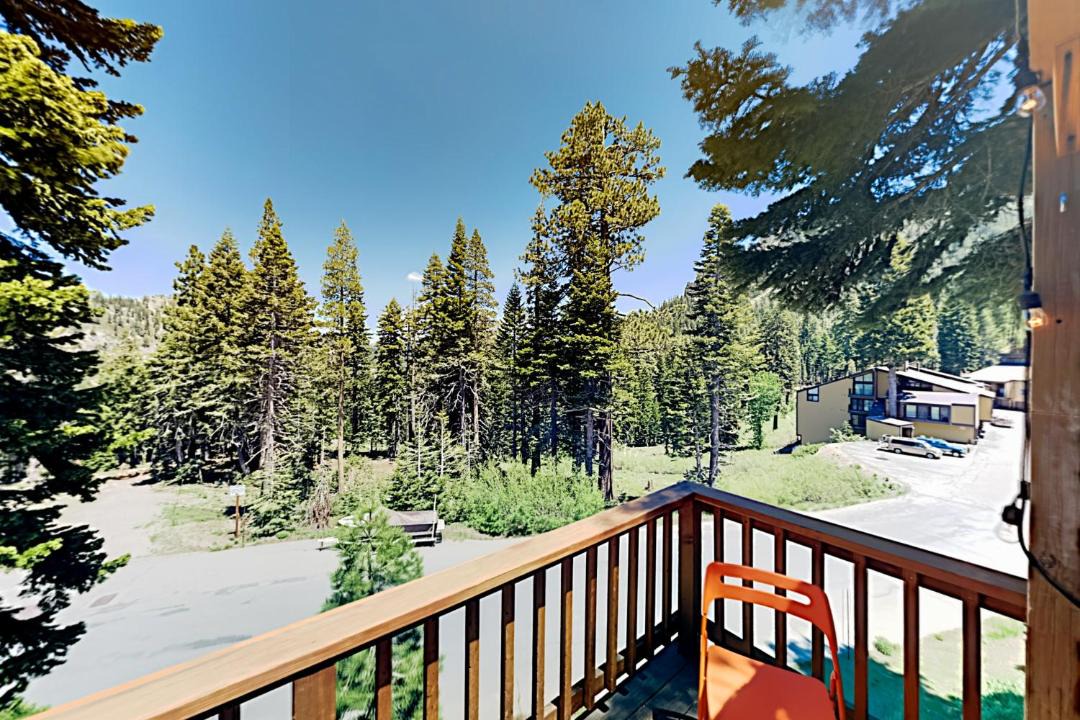 Photo of Others in Alpine Meadows