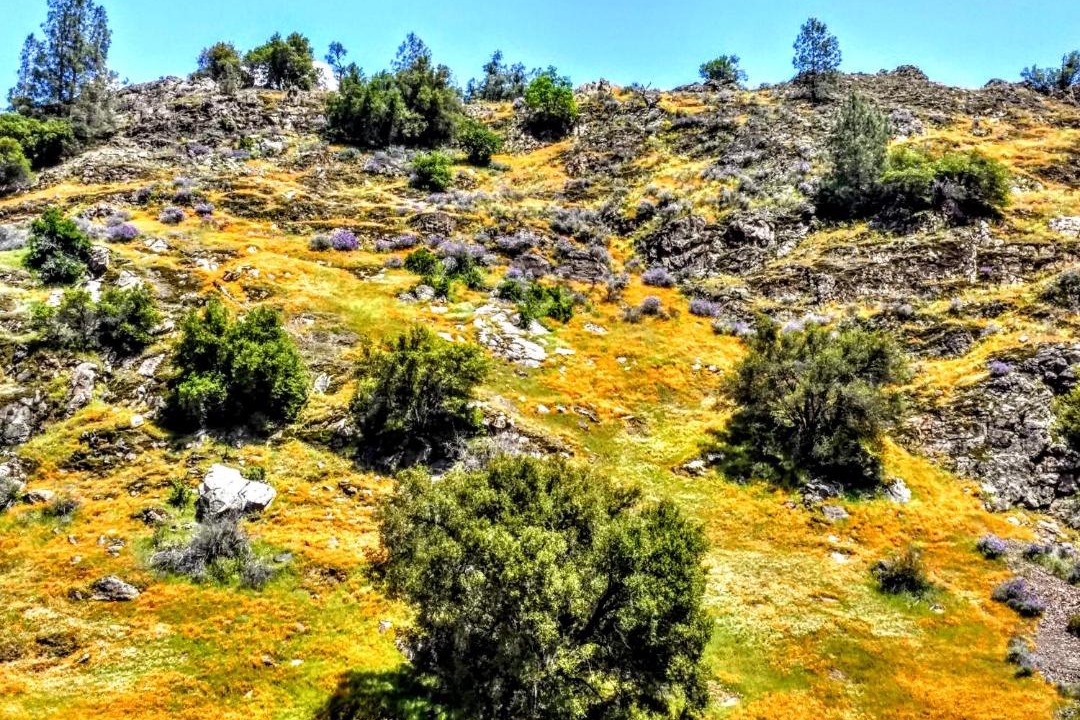 Photo of Outdoor in Oakhurst