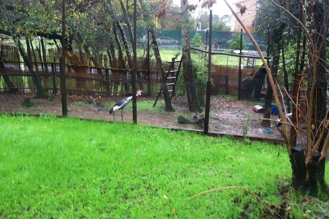Photo of Others in Geyserville