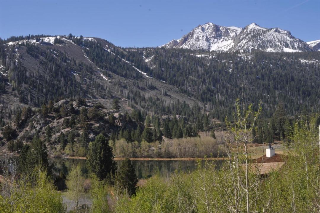 Photo of Others in June Lake