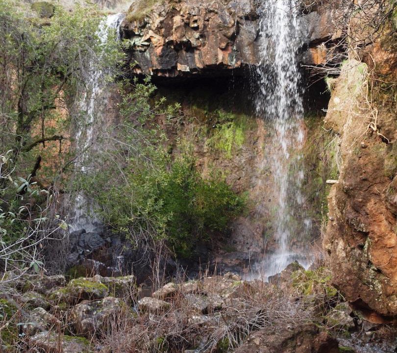 Photo of Others in Shasta Cascade