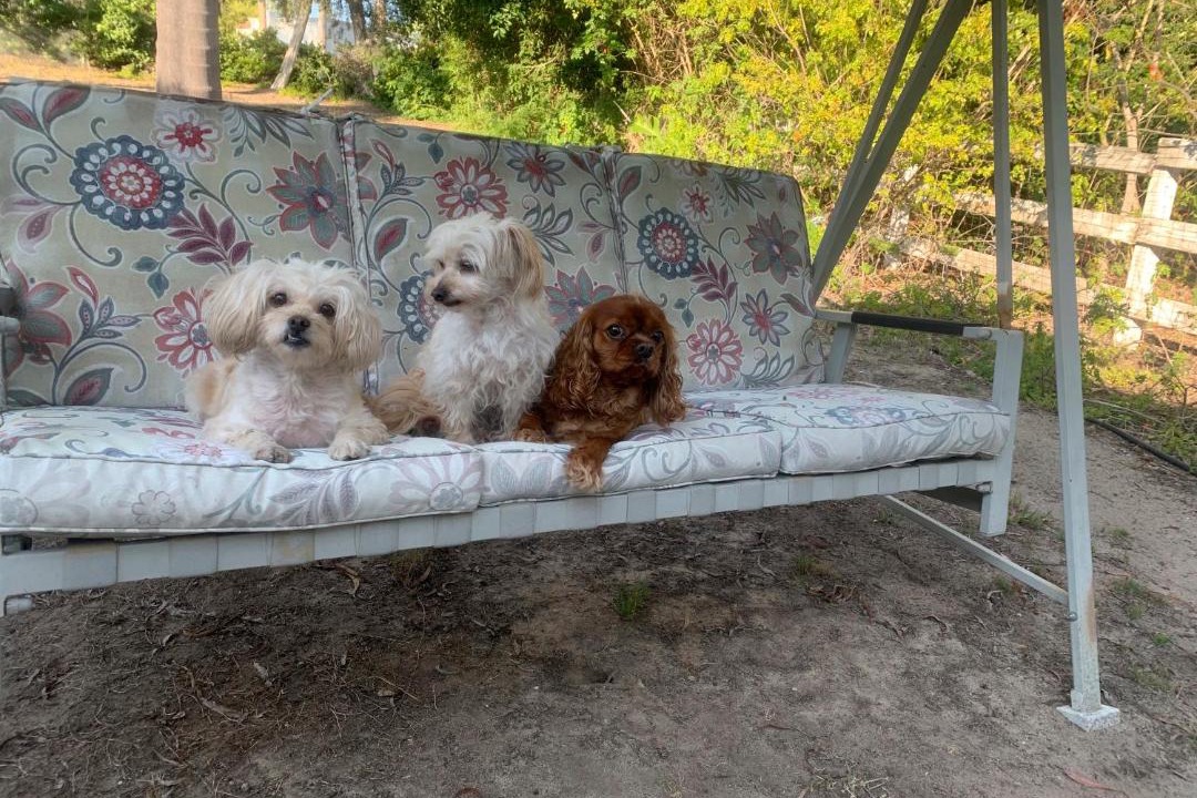 Photo of Others in Fairbanks Ranch
