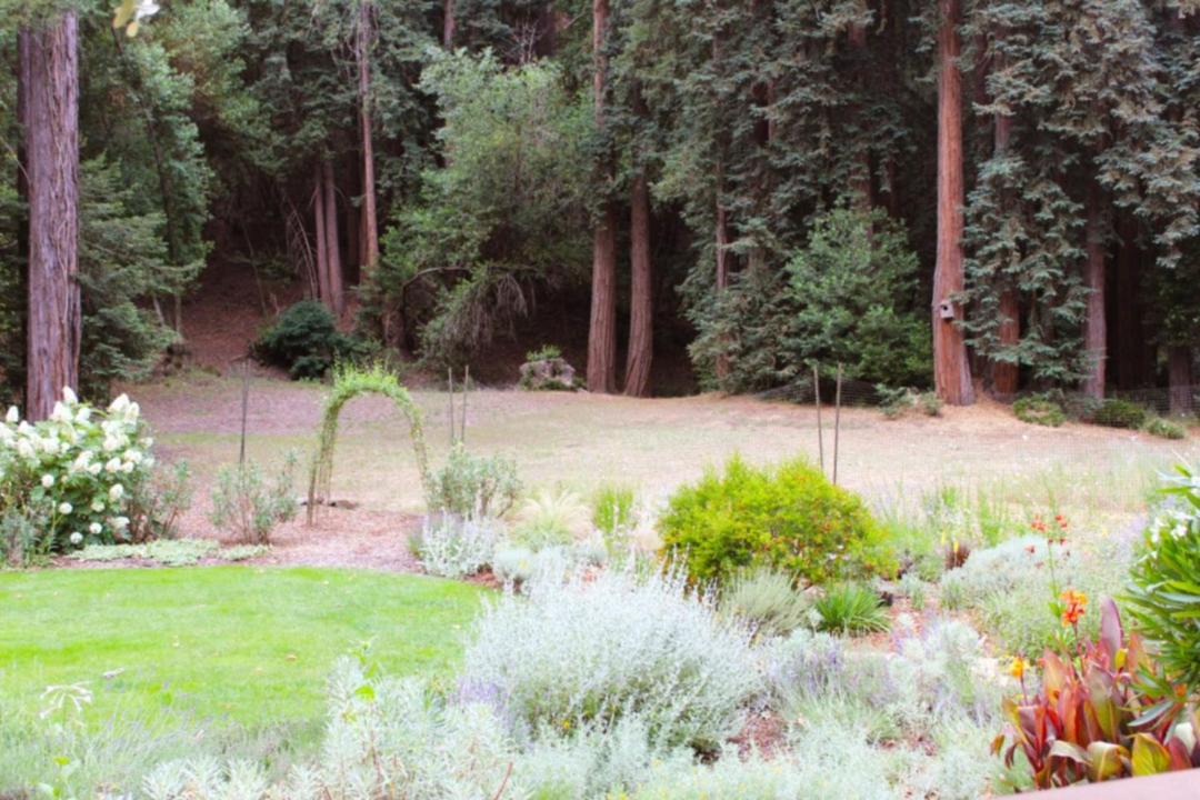 Photo of Others in Glen Ellen