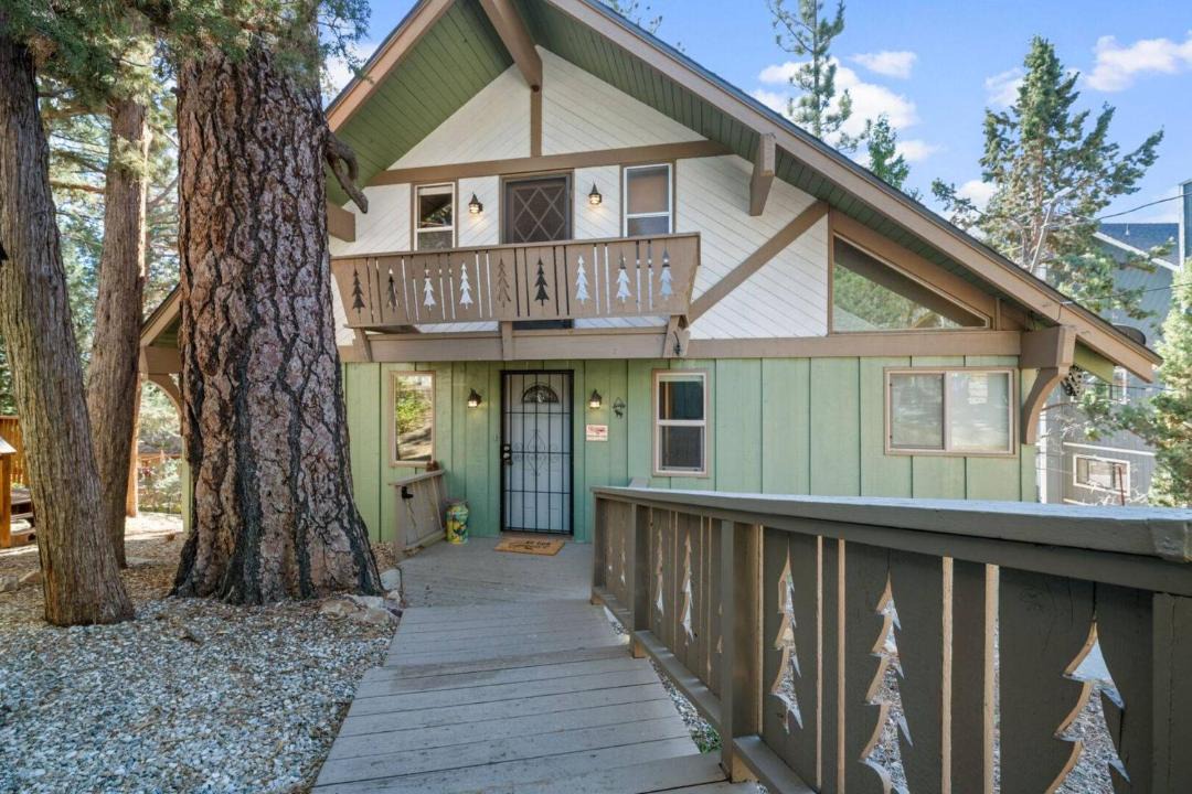 Photo of Buildings in Whispering Forest