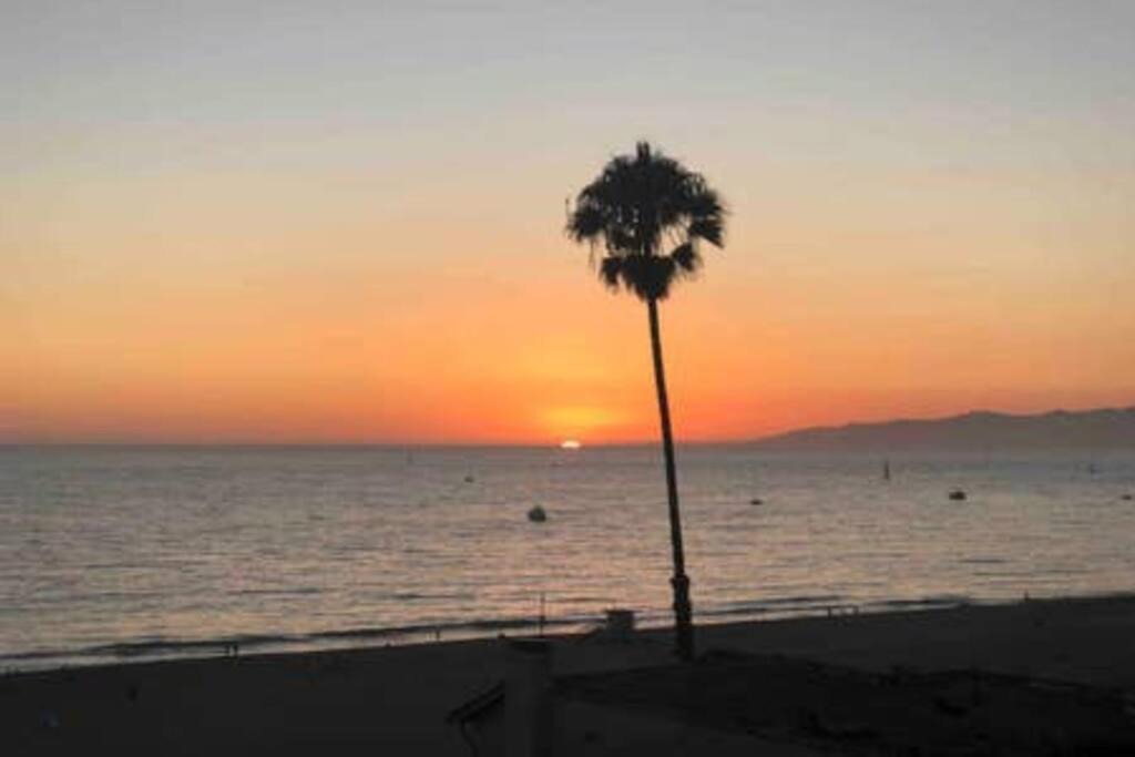 Photo of Others in Playa Del Rey