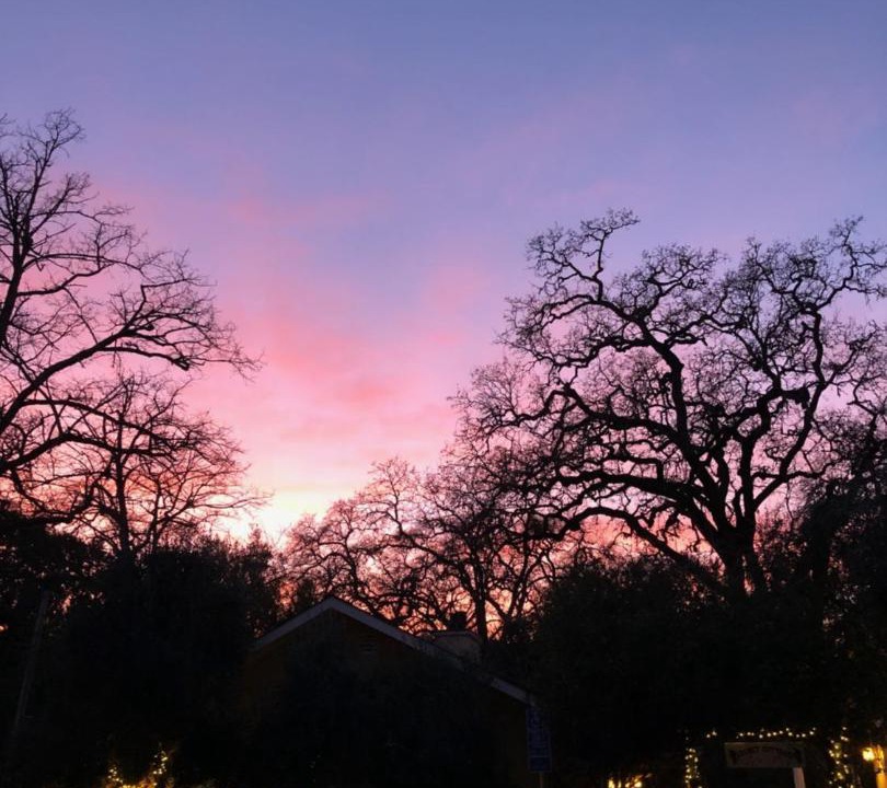 Photo of Others in Glen Ellen
