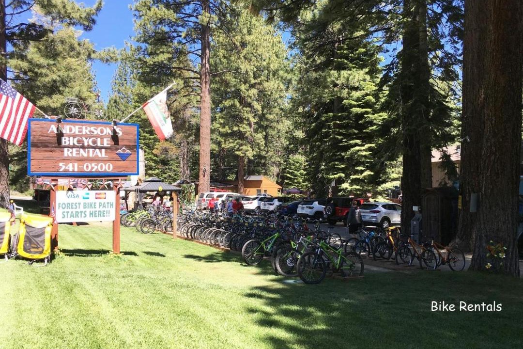 Photo of Others in Tahoe Valley