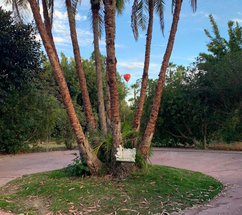 Photo of Others in Fairbanks Ranch