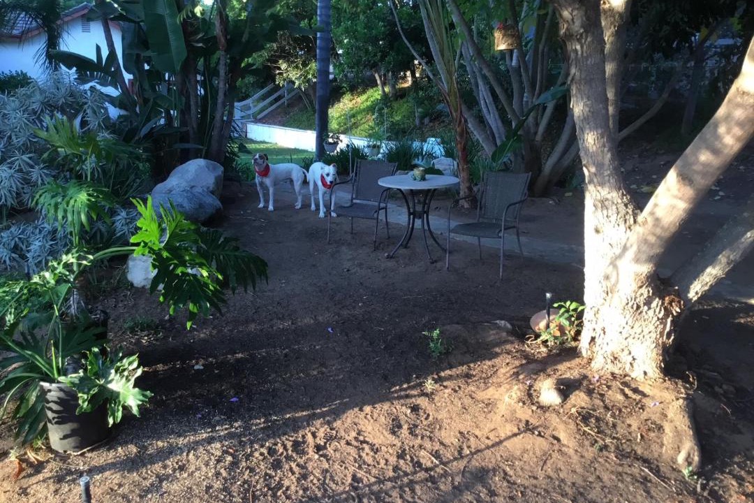 Photo of Others in Fallbrook