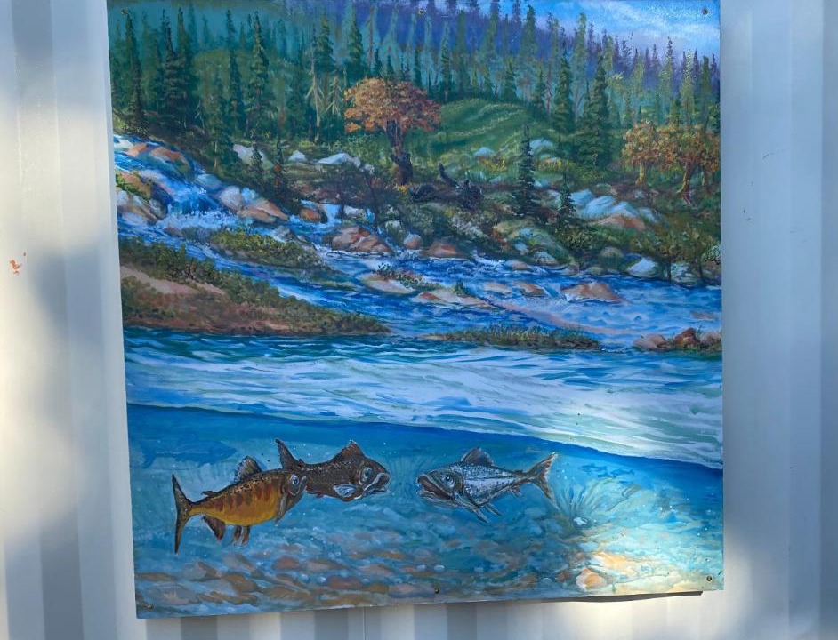Photo of Others in Mount Shasta