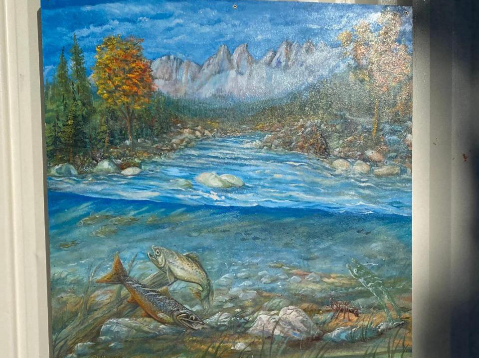 Photo of Others in Mount Shasta