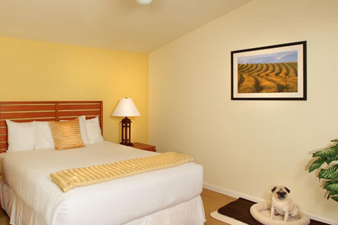 Photo of Bedroom in Guerneville